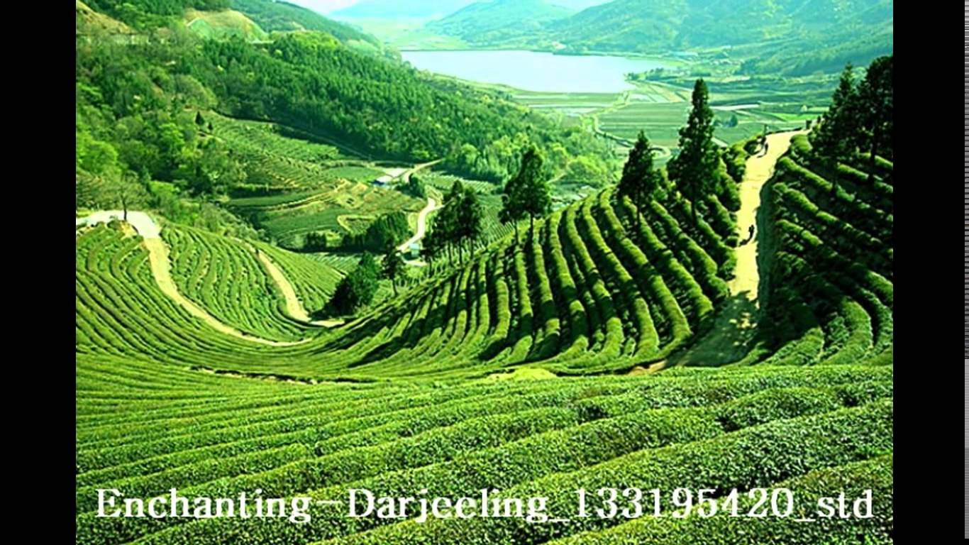 Top 10 Winter Holiday Destinations India
